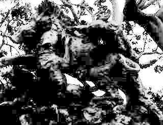 dogs small jpg